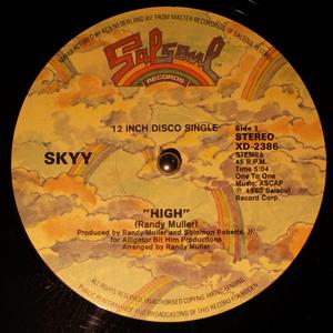 Front Cover Single Skyy - High 12