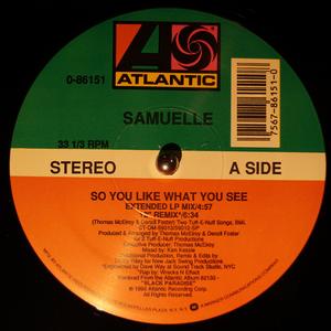 Front Cover Single Samuelle - So You Like What You See