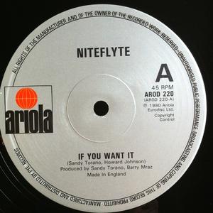 Front Cover Single Niteflyte - If You Want It