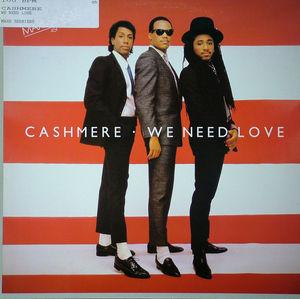 Single Cover Cashmere - We Need Love