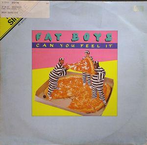 Single Cover Fat Boys - Can You Feel It