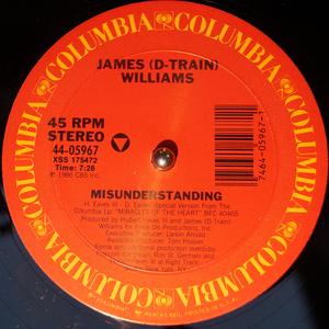 Single Cover James 'd-train' - Misunderstanding Williams