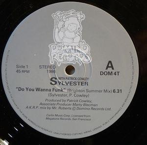 Single Cover Sylvester - Do You Wanna Funk (brighton Summer Mix)