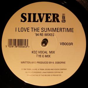 Single Cover Silver - I Love The Summertime