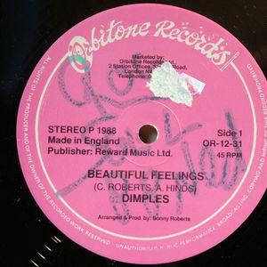 Single Cover Fields Richard - Beatiful Feelings Dimples