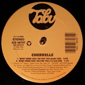 Single Cover Cherrelle - What More Can I Do For You