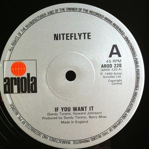 Single Cover Niteflyte - If You Want It