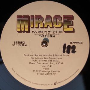 Single Cover The - You Are In My System System