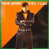 James, Rick - The Flag