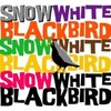 Snow White Blackbird