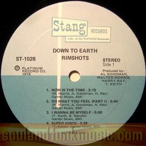 The Rimshots - Down To Earth